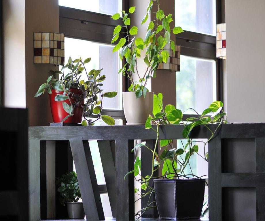 Świeradów-Zdrój Boutique Hotel Sudetia - Medical & Spa מראה חיצוני תמונה